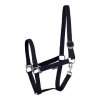 Kantar STLT - Harry's Horse